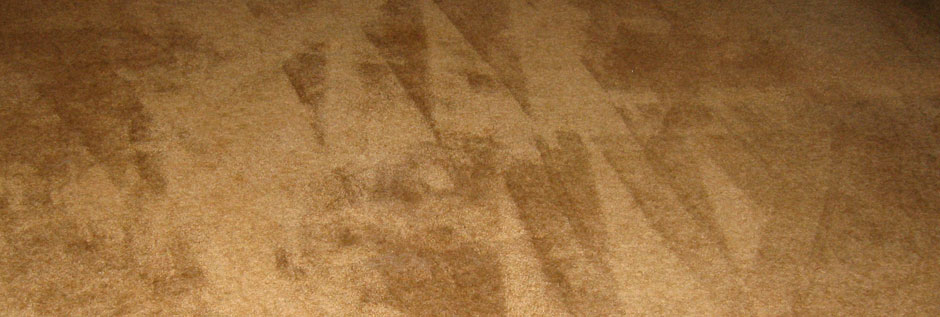 Pristine Carpet Cleaning